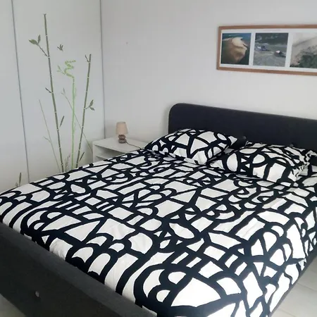 Les Pieds Dans L'eau Salee * 比斯卡罗斯