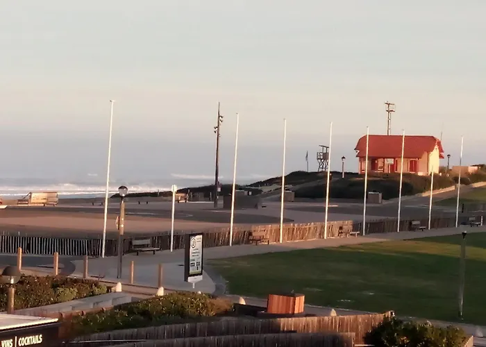 Les Pieds Dans L'eau Salee Biscarrosse